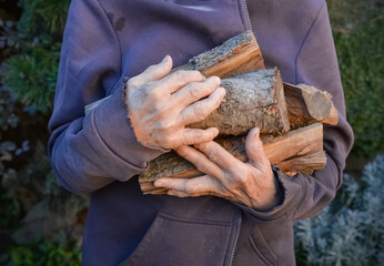 Old man in a tainted rattle holds firewood in overworked hands. Poor man wrinkled hands with firewood for heating.  Social contrast, give and share, sympathy, donate and charity, poverty concept.