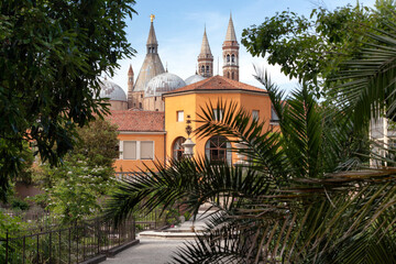 Padova. Giardino dell'Orto botanico dell'Università degli Studi 