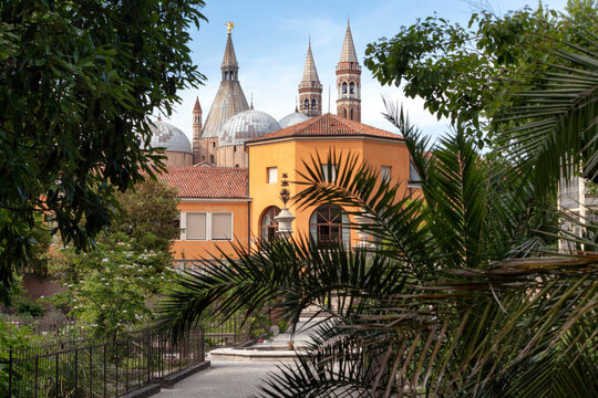 Padova. Giardino dell'Orto botanico dell'Universit&agrave; degli Studi 
