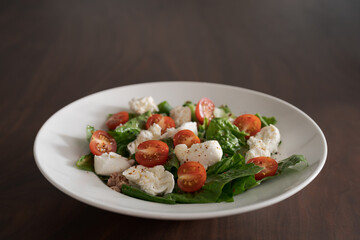 Salad with canned tuna, mozzarella and tomatoes in white bowl