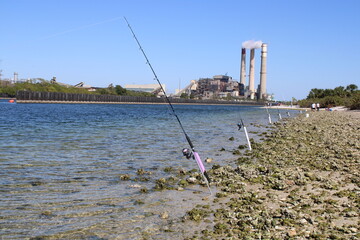 A fishing rod and reel with a purple handle rests on an inlet in Tampa Bay Florida. Background is...