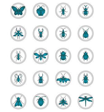 insect vector icon set with blue color background