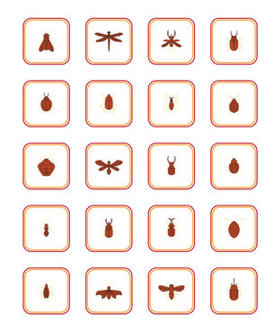 insect vector icon set with white color background with red lines with yellow