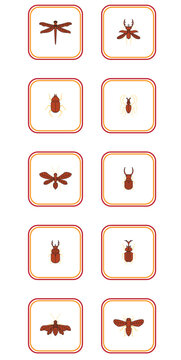 insect vector icon set with white color background with red lines with yellow