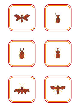 insect vector icon set with white color background with red lines with yellow