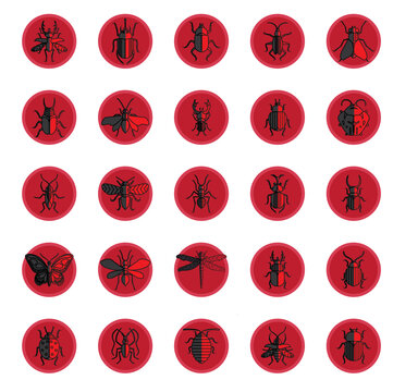 insect vector icon set with red color background