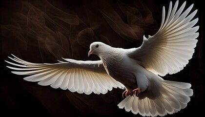 White dove, symbolizing peace and purity, with the text "No war". Promoting peace, nonviolence, and human rights