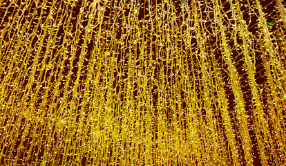 Glittering Gold Illuminated Ceiling String Lights for Background or Banner