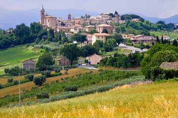 Corinaldo, Ancona. Veduta della cittadina nel contesto rurale estivo