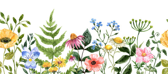 Wildflowers border features painted watercolor summer plants, and green grasses—colorful flowers and herbs. Floral meadow. PNG clipart. - 584747946