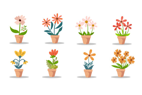attractive flower bundles in pots. illustration vector