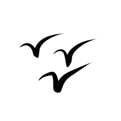 Bird silhouette