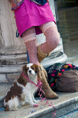 Venezia. Donna con cagnolino a Piazza San Marco acconciata per il Carnevale © Guido