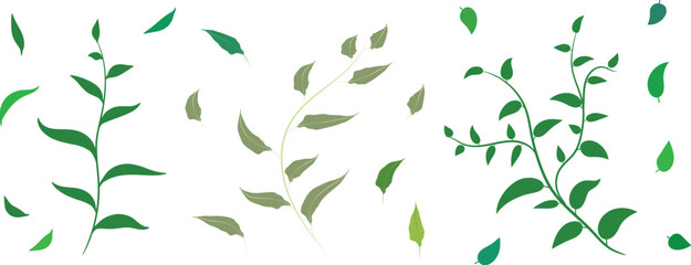 Green vector leaves elements for design