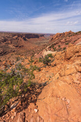 hiking the syncline loop trail in island in the sky district of canyonlands national park, utah, usa
