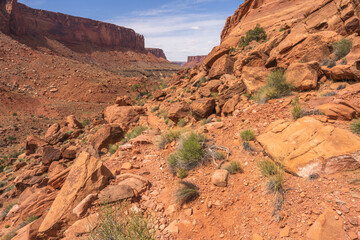 Fototapeta premium hiking the syncline loop trail in island in the sky district of canyonlands national park, utah, usa