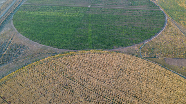 Aerial view of circular field in Argentina. drone photo