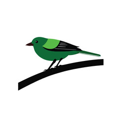 bird on a branch of a tree