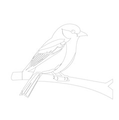 illustration of a bird