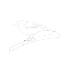 hand drawn illustration of a bird