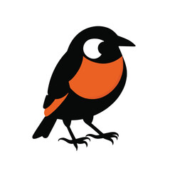 illustration of a bird