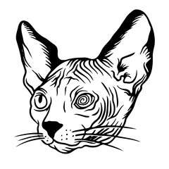 Vector hand drawn lllustration of cat. antistress Coloring page with high details isolated on white background.