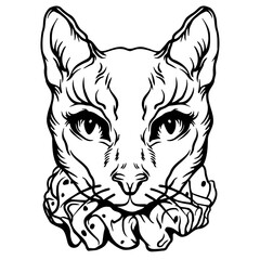 Vector hand drawn lllustration of cat. antistress Coloring page with high details isolated on white background.