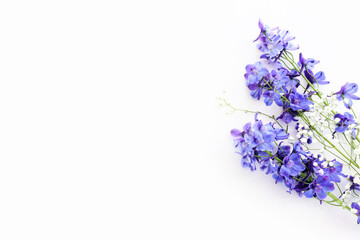 Top view image of violet delphinium flowers composition over white isolated background