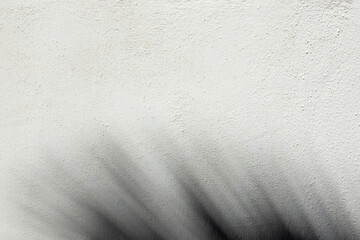 Natural daylight shadow from palm leaf on white wall background. Abstract background of Mediterranean Sea region