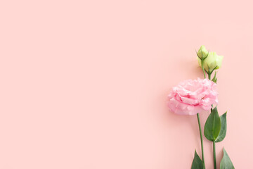 Top view image of delicate pink flower over pastel background