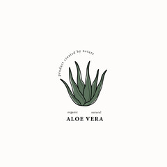 Line art aloe vera plant drawing

