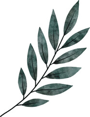 Watercolor hand drawn leaf branch