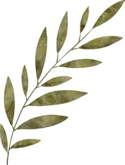 Watercolor hand drawn leaf branch