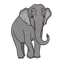 Red book Asian elephant cartoon color vector character
