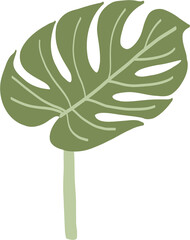 Simplicity monstera leaf freehand drawing