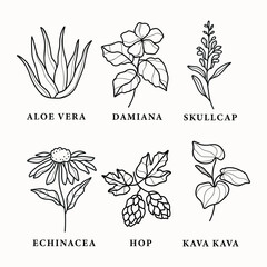 Set of line art medicinal plants and flowers - obrazy, fototapety, plakaty