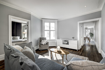 Renovated apartment in old house luxury style furnished and staged