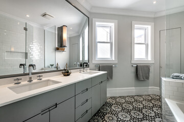 Renovated apartment in old house luxury style furnished and staged