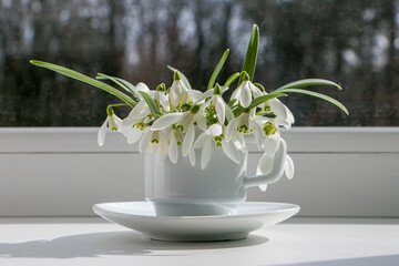 Snowdrops in a cup. Bouquet of white spring snowdrop flowers in a cup and saucer on a windowsill