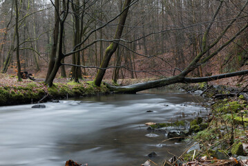 am Fluss , verträumt 
