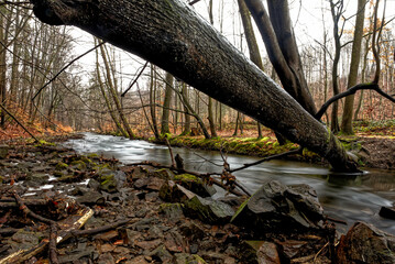 am  Fluss , wildes Wasser 