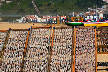 Fish Drying on Sun at the Beach of Nazare, Portugal