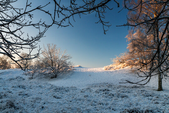 Boberger D&uuml;nen Sonnenaufgang im Winter mit Schnee