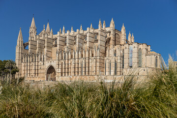 Palma Cathedral La Seu in Palma, Majorca, Mallorca, Balearic Islands, Spain, Europe
