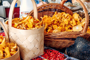 Chanterelle mushrooms in baskets. Chanterelles are sold at a farm produce fair