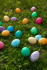 Happy Easter. Easter eggs on the grass on a sunny spring day - Easter decoration, banner, panorama, background with space for text.