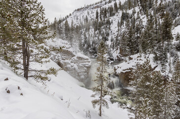 Snow Covered Landscape on the Firehole River in Yellowstone National Park in Winter