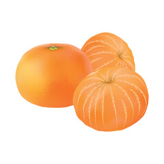 Realistic tangerine. Detailed illustration. 