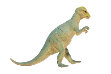 A dinosaur toy isolated. Pachycephalosaurus.
