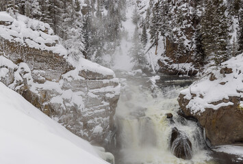 Snow Covered Landscape on the Firehole River in Yellowstone National Park in Winter